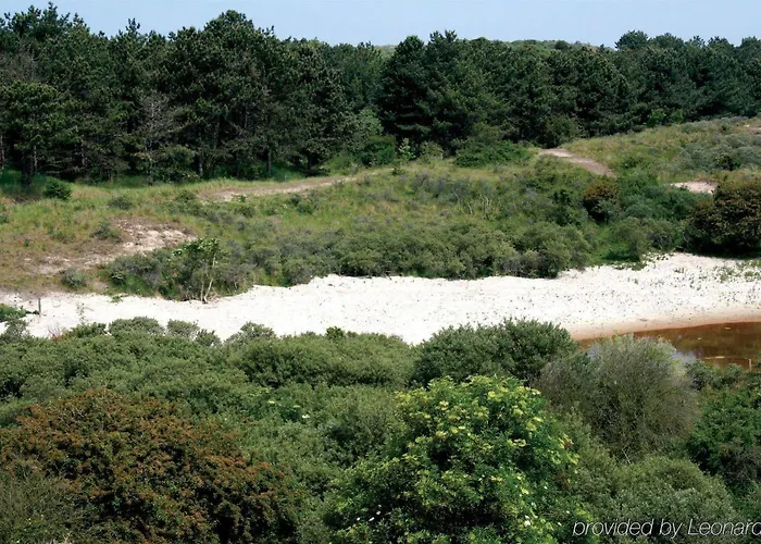 Hotel Fletcher Boutique Duinoord 4*