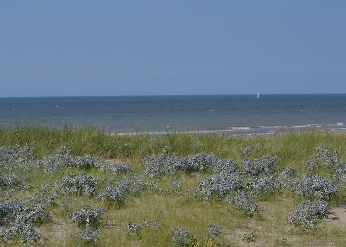 Hotel Fletcher Boutique Duinoord